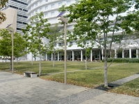 公園用.jpg